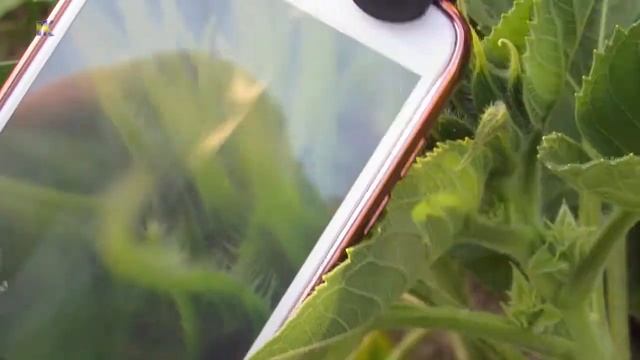 Как делать хорошую макросъемку на телефоне. Обзор линз из Китая смотреть онлайн