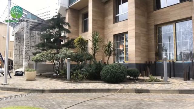 Стрижка растений и уход. смотреть онлайн