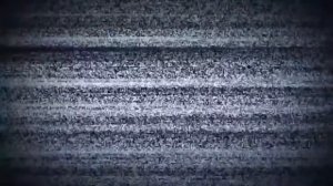 Каким был этот год для Пиги и Степа