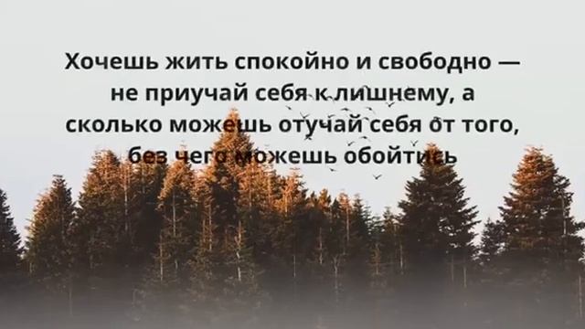 Лев Толстой. Красивые изречения и крылатые фразы смотреть онлайн
