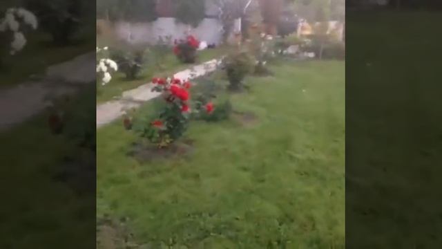 Моя дача 16 июля, солнечные и тёплые выходные!!! смотреть онлайн