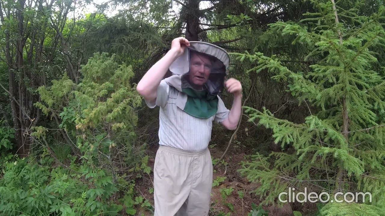 Хочу мёда!!! смотреть онлайн