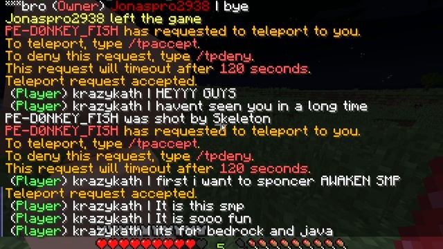 Best Smp for Bedrock and java check it out смотреть онлайн