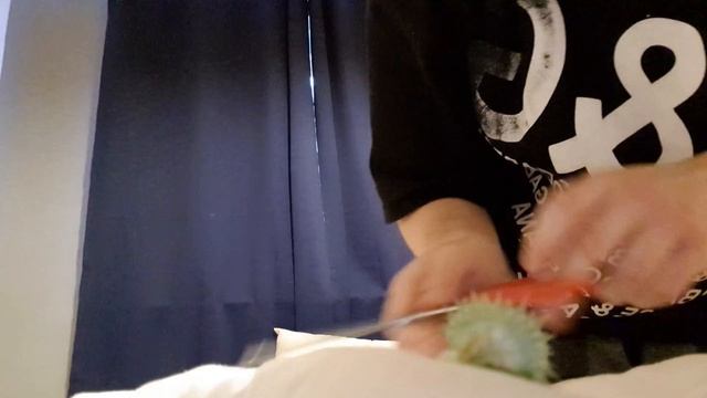 Eating Datura Seeds on video смотреть онлайн