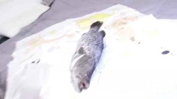 How To Make Almond Milk