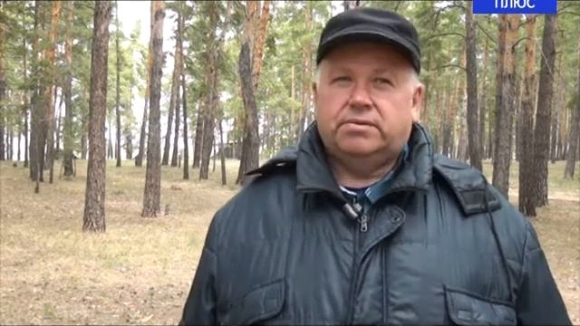 Очистим опушку леса смотреть онлайн