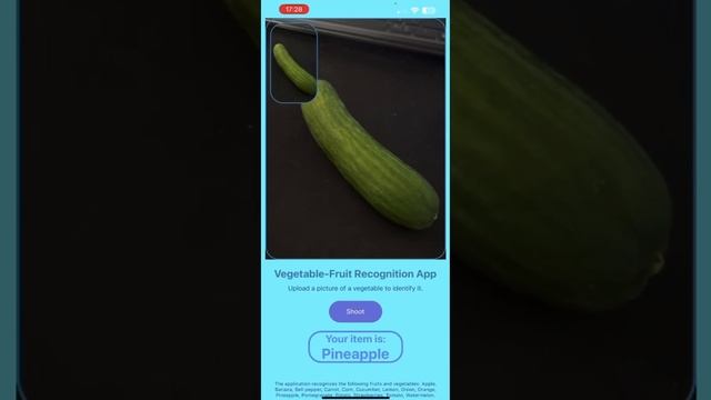 Fruit and vegetable identification application - React native & NodeJs & Python смотреть онлайн