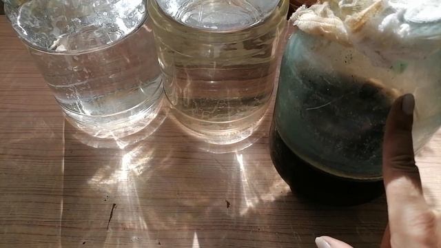 #328Заготовки. Домашний квас с квасным грибом. Солю огурцы, Новая супер закрывашка. смотреть онлайн