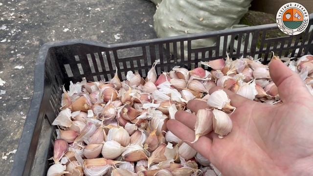 Подготовка земли к посевной 23.10.22 смотреть онлайн