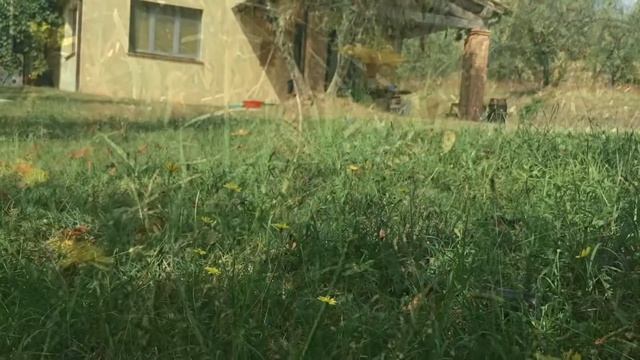 Ещё немного лета … смотреть онлайн
