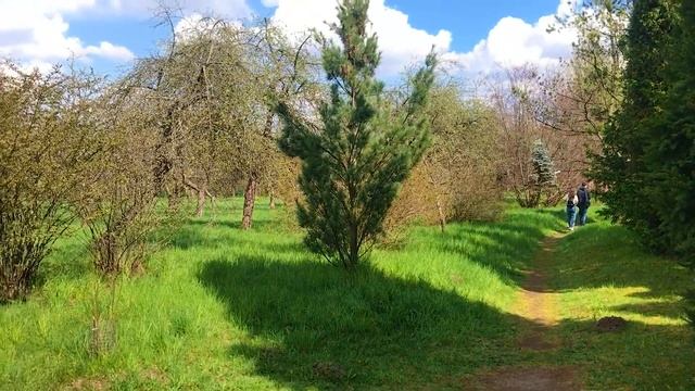 3 мая 2020 Центральный ботанический сад, Минск смотреть онлайн