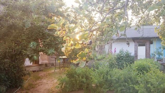 Лето на даче смотреть онлайн