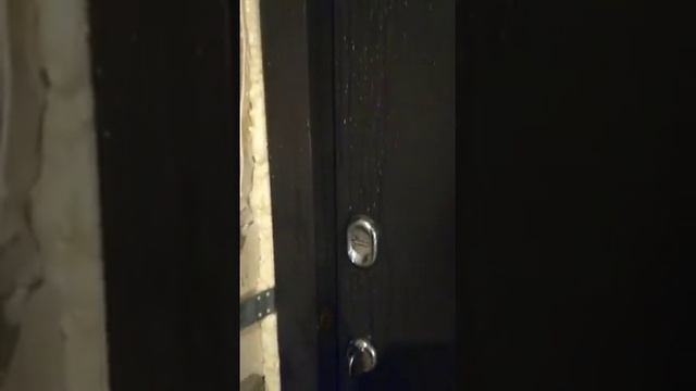 двери торекс отзывы Серия (1) Хваленый Серия Snegir, реальность такова!!! смотреть онлайн