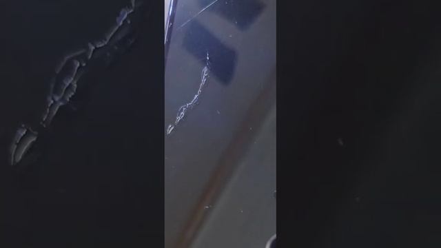 Царапины на экране. Как исправить. смотреть онлайн