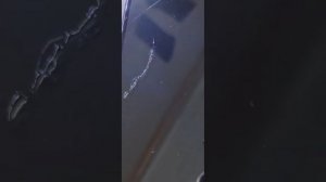 Царапины на экране. Как исправить.