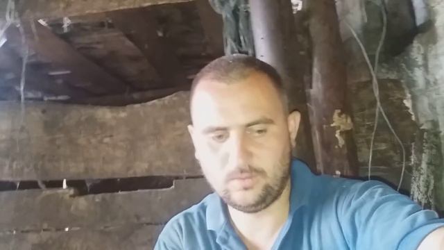 Две индоутки в одном гнезде повторно вывели)) смотреть онлайн