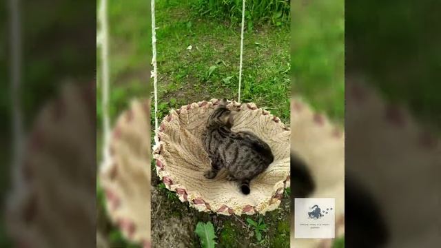 Лежанка-гамак для кошек|| Hammock bed for cats смотреть онлайн