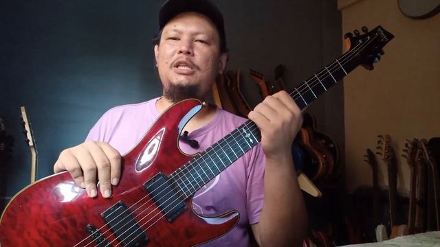 Schecter Diamond Series Damien Special Review - Bahasa Melayu смотреть онлайн