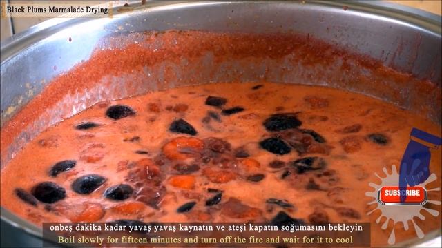 Black Plum Fruit Pulp Recipe | how to Dry Black Plum in the sun | natural black plum pulp making смотреть онлайн