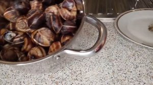 КАК ПРИГОТОВИТЬ ВИНОГРАДНЫХ УЛИТОК. ЛУЧШИЙ АФРОДИЗИАК ДЛЯ МУЖЧИН И ЖЕНЩИН. ВИНОГРАДНЫЕ УЛИТКИ.