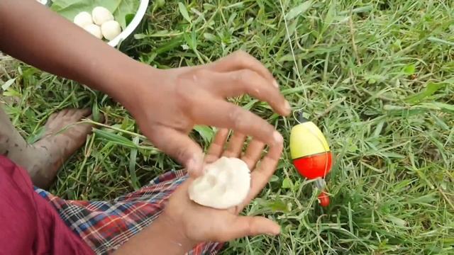 Amazing Unique Hook Fishing Technique Form Pond Village Boy Hunting Big Fish By Hook in Pond #fish смотреть онлайн