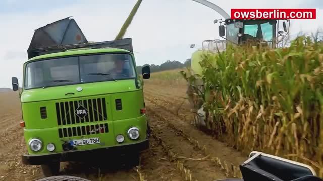 Уборка Кукурузы с ИФА В50Л смотреть онлайн