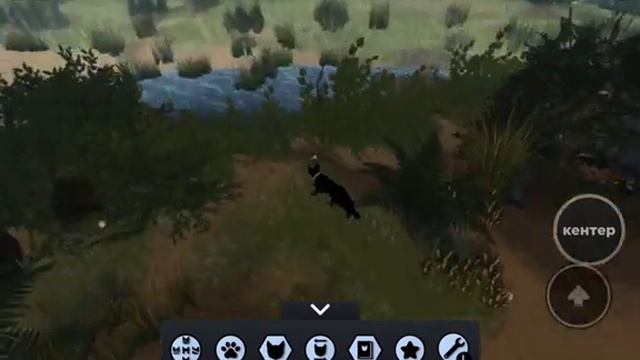 Как охотится в Warrior Cats Ultimate Edition //Показываю и рассказываю\\ смотреть онлайн