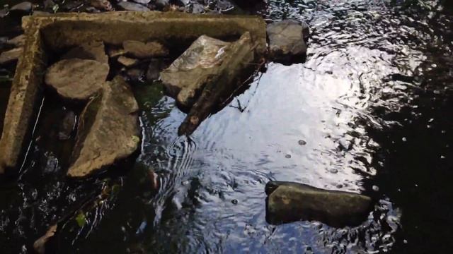 Водопад. Фрогнер парк, Осло смотреть онлайн