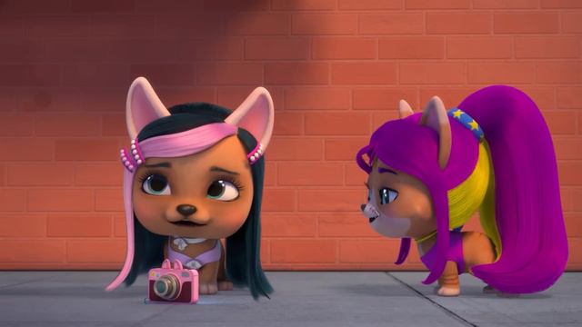 Kočičí Pohled 😺👀 VIP PETS 🌈 Kolekce Epizod | Pohádky Pro Děti V Češtině