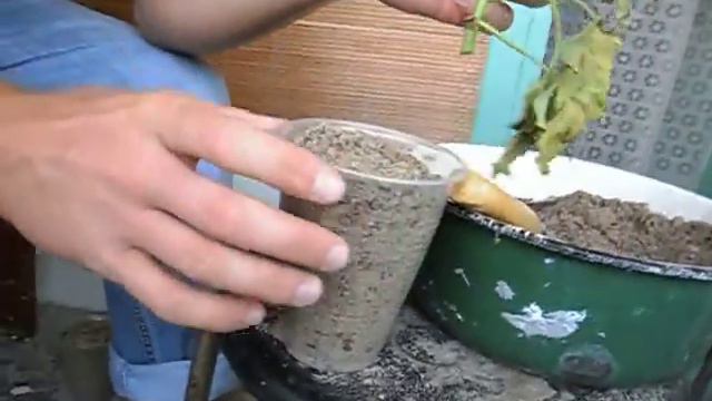 Батат смотреть онлайн