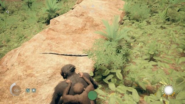 ПУТЕШЕСТВИЕ В САВАННУ | ANCESTORS THE HUMANKIND ODYSSEY ► Прохождение 10 серия смотреть онлайн
