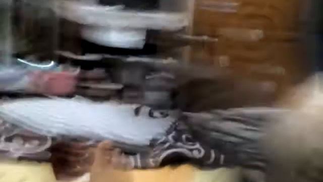 The noice of MK-688 смотреть онлайн