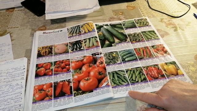 ДАЧНЫЙ СЕЗОН?. ДЕНЬ ЗА ДНЕМ 12 01 2020. HowToChooseSeedsToPlant . SeedCatalogOverview смотреть онлайн