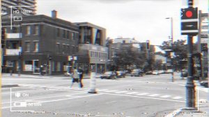 Наблюдатель за Птицами | Bird Watcher | Гиганты Тревора Хендерсона