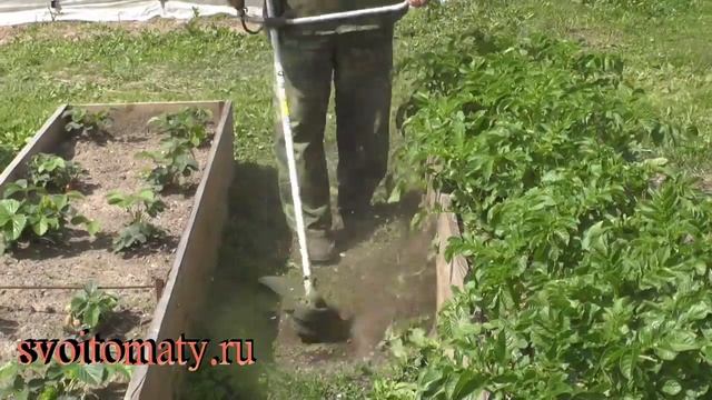 Использование триммера на участке смотреть онлайн