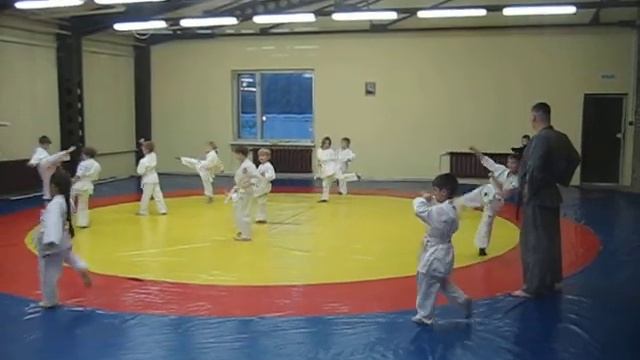 Каратэ. Младшая группа. смотреть онлайн