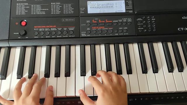 Ode to Joy - Casio CT-X700 смотреть онлайн