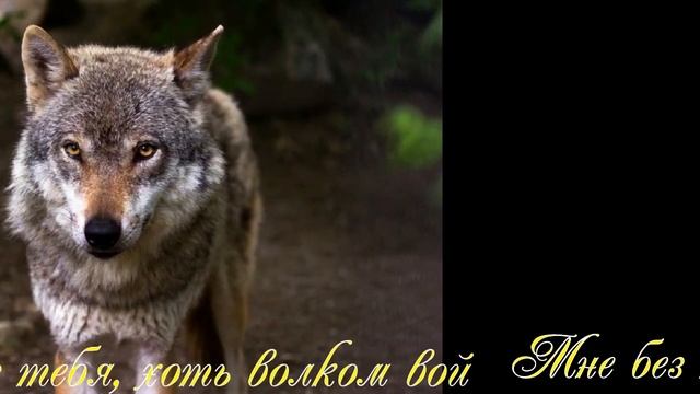 Утиль Видео 51 смотреть онлайн