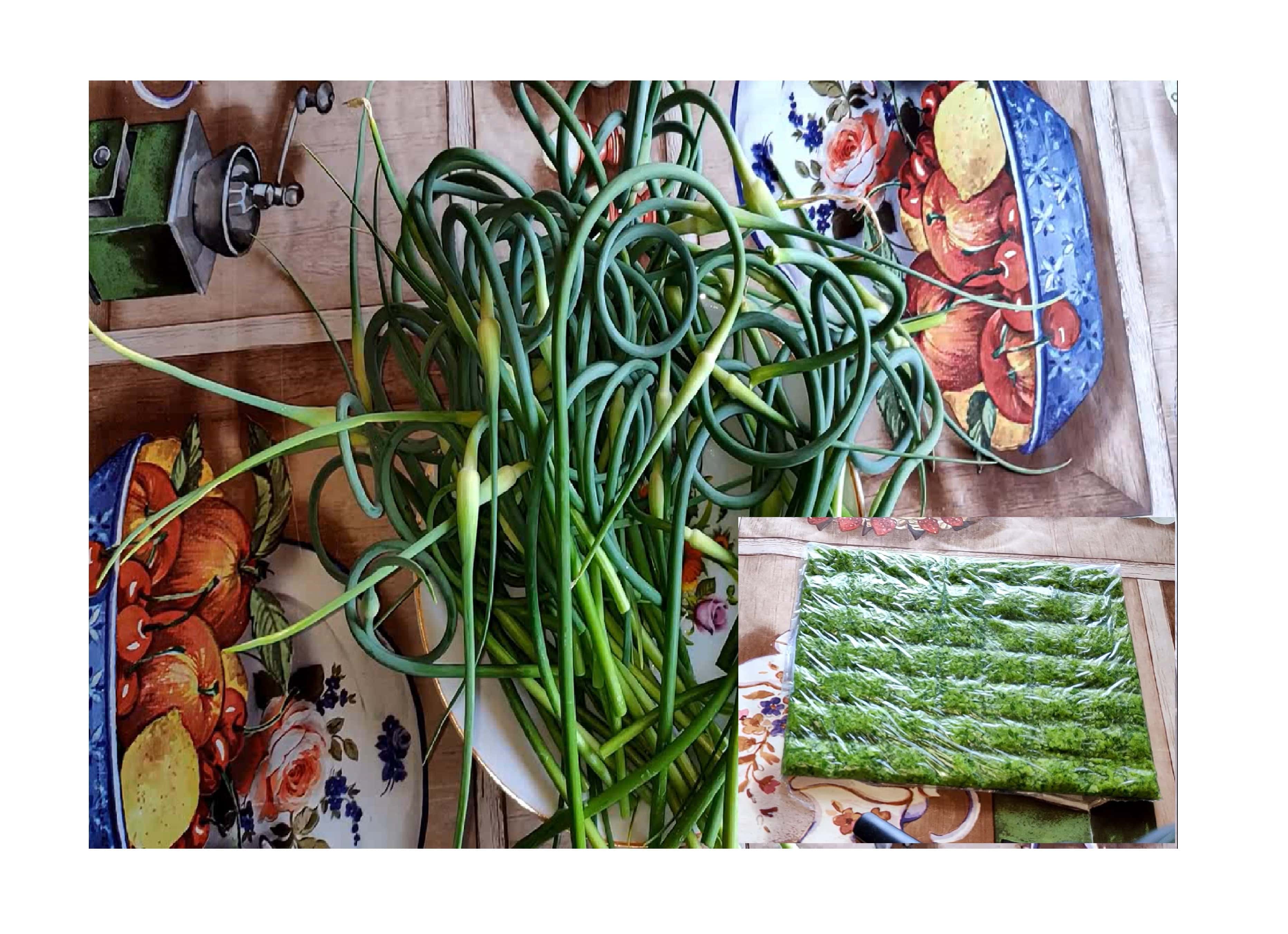 Мама научит