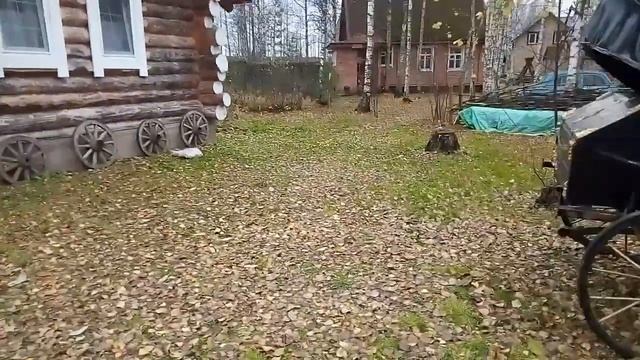 Остановка на базе ,,Мельница