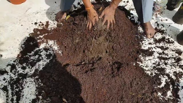 48.Bloom Boosting Potting Mix For Rose