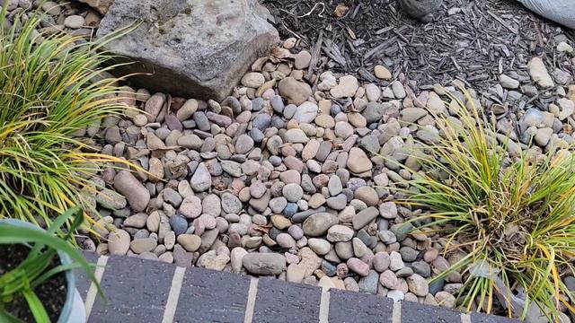 Plant with me 🌿Planting up two Pinky Winky Hydrangeas. смотреть онлайн