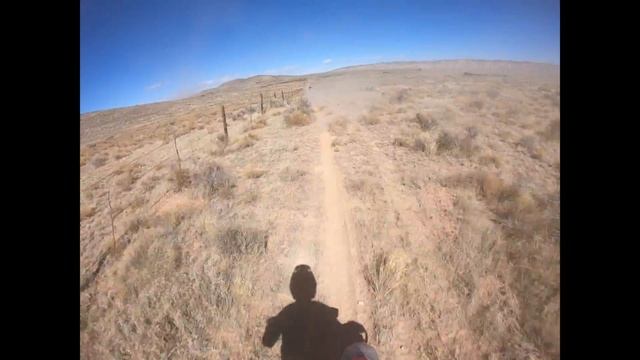 Rhino Rally 2021 смотреть онлайн