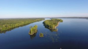 Летняя рыбалка. Волжские просторы. Самарская область.