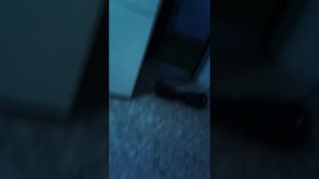 2 часть пол это лава давайте Наберем много лайков и выйдет новая часть смотреть онлайн