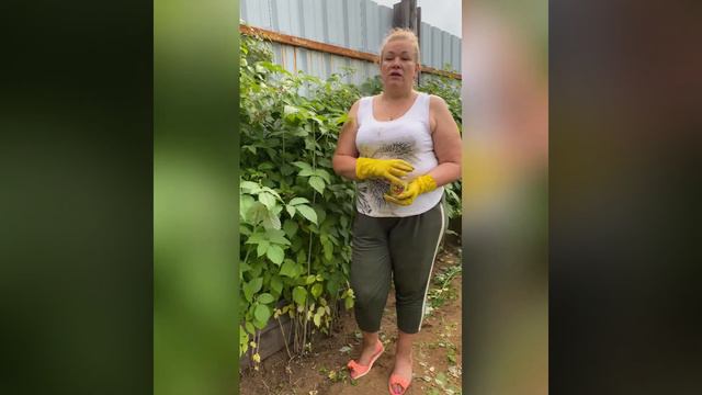 Подкормка малины для плодоношения смотреть онлайн