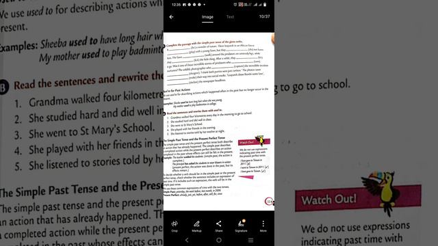 ICSE 7 SIMPLE PRESENT PAST FUTURE смотреть онлайн