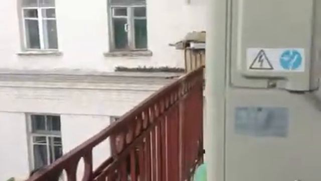 Мои цветы на балконе-лето 2013 смотреть онлайн