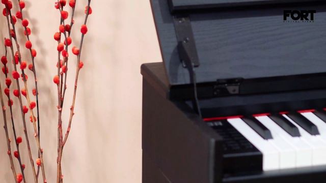 FORT DIGITAL PIANO - TOLUKKO смотреть онлайн