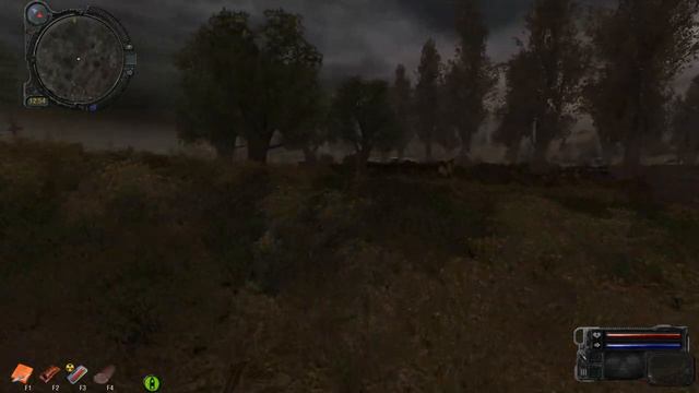 STALKER SGM 2.2+GUNSLINGER MOD (БАЛТАЗАР.ТЁМНАЯ ДОЛИНА) смотреть онлайн